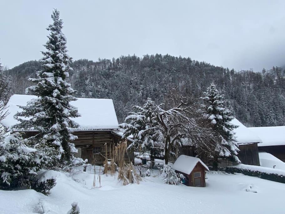 Panorama Wohnung Rungelin Bludenz ภายนอก รูปภาพ